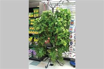 Hanging Plant Tree