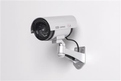 CCD Fake Security Camera