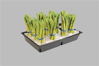 Fresh-Fit® Asparagus/Herb Merchandiser