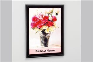 Mercury™ Banner/Sign Holder with Adhesive
